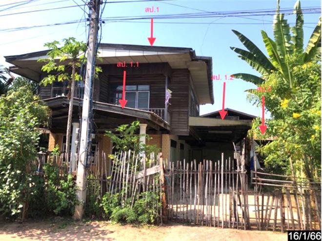 ปอแดง ชนบท ขอนแก่น